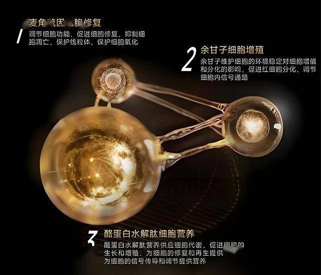 IC外汇平台究竟能带来哪些理财机会，2025年你准备好了吗？